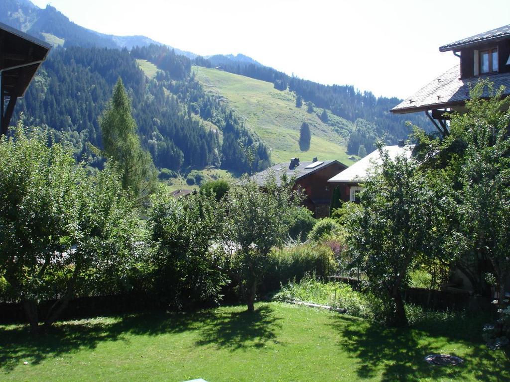 La Ferme Du Chateau Abondance 외부 사진